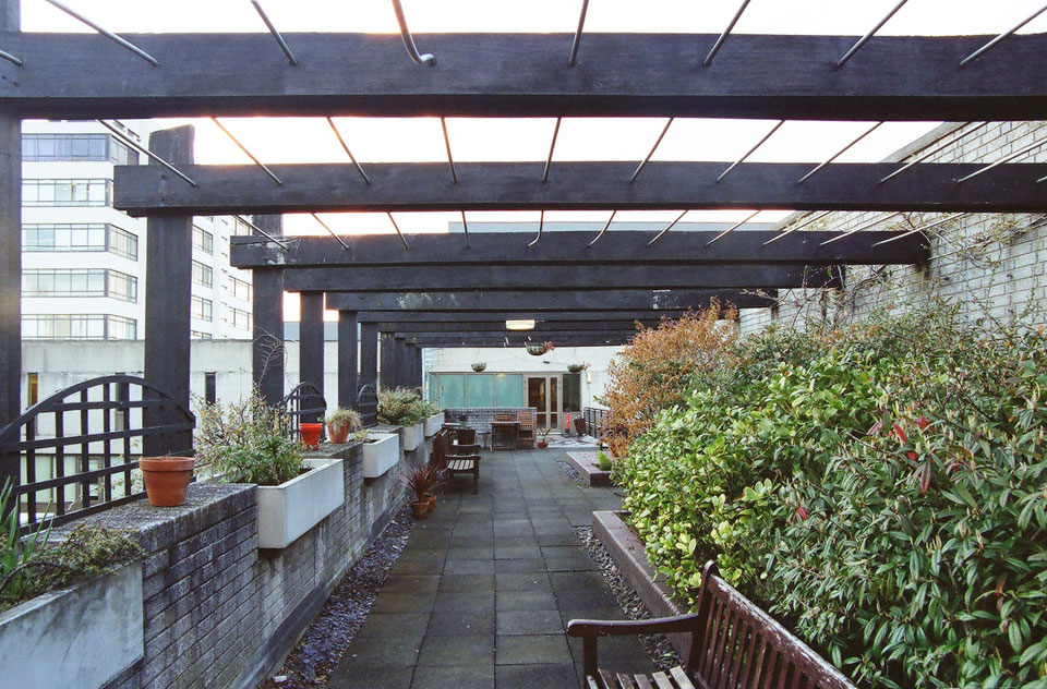 Roof garden.